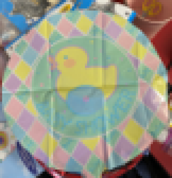 Baby Shower Duck Funtime Services Event Rentals Naperville IL