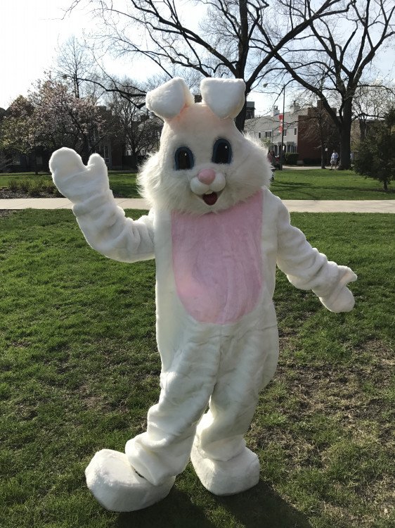 Easter Bunny Costume Character