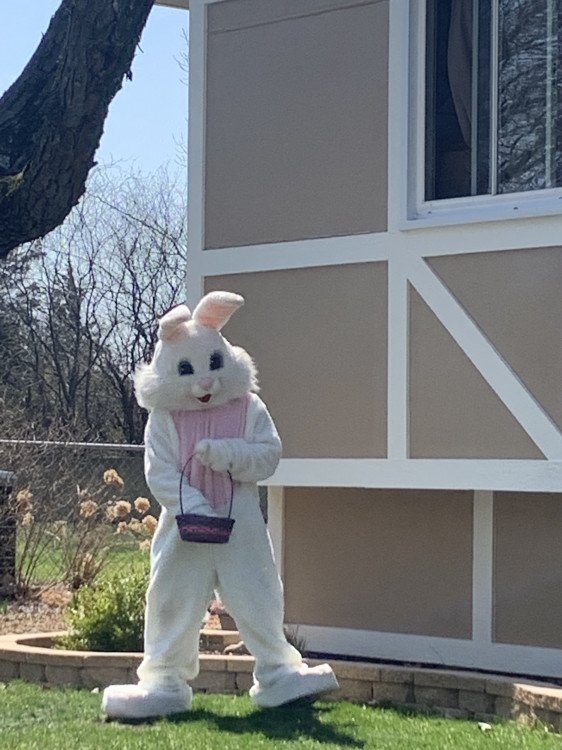 Easter - Bunny Home Visits