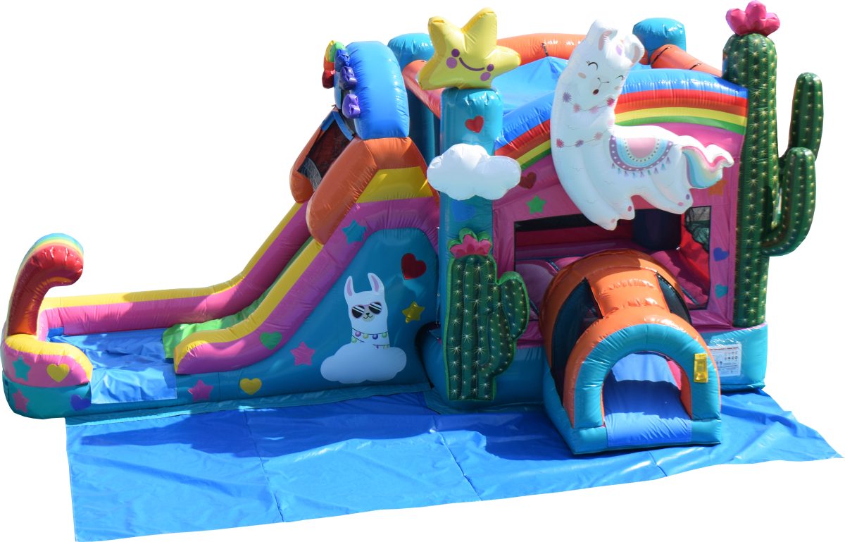 Visit SweetPeesPartyRentals , to book our inflatable night club for yo