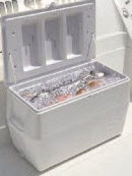 Cooler 120 - 150 Quart