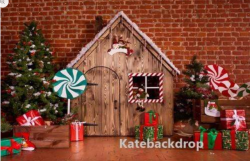 Wooden Peppermint Christmas House Backdrop