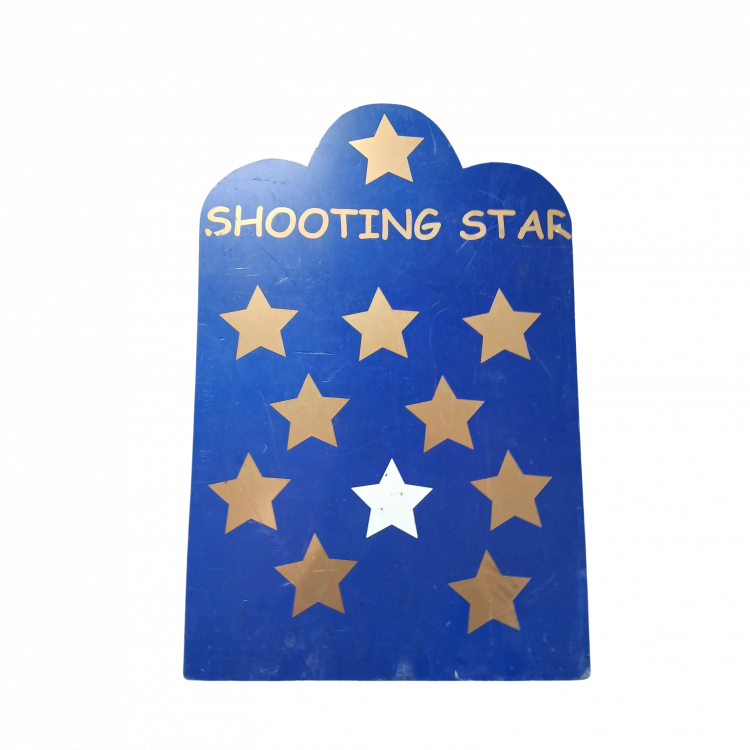 Shooting Star Dart Board