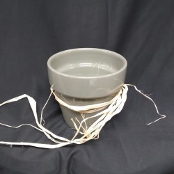 Planter Pot & Rocks