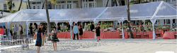 30x80 CLEAR TOP Frame Tent