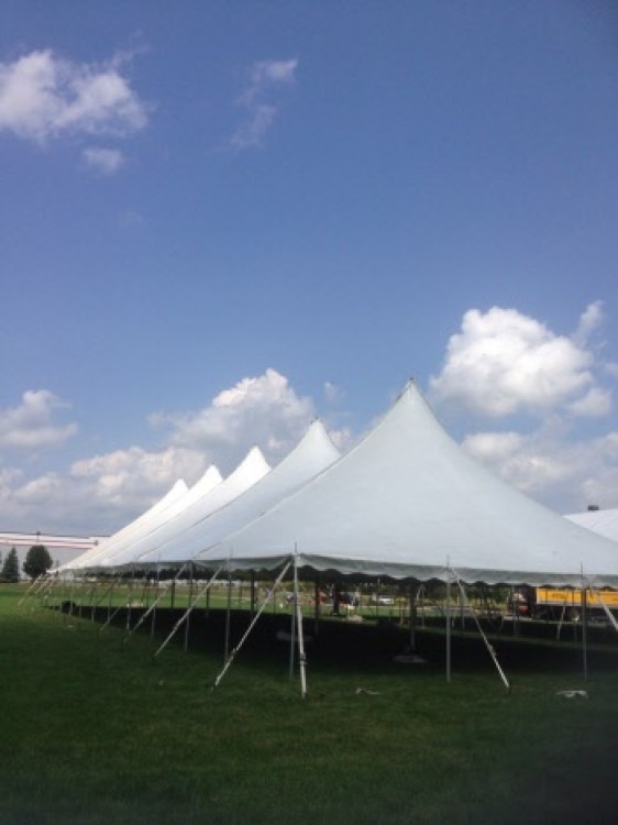 Festival Tents