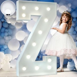 Z Letter Lighted Marquee