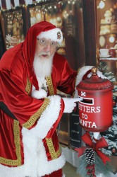 Santa Dewey