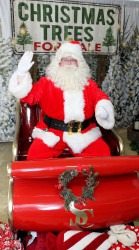Santa Paul