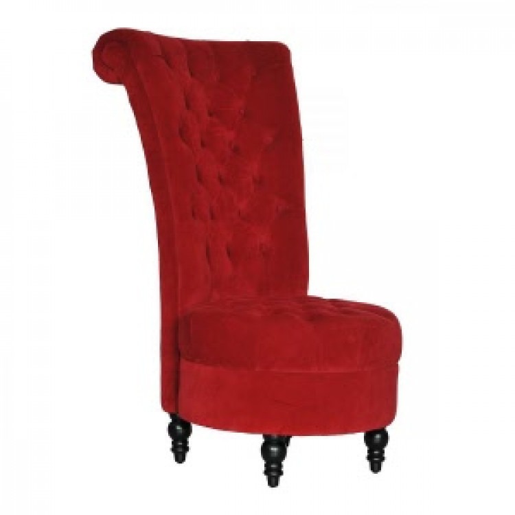 Lounge and Furniture Chairs